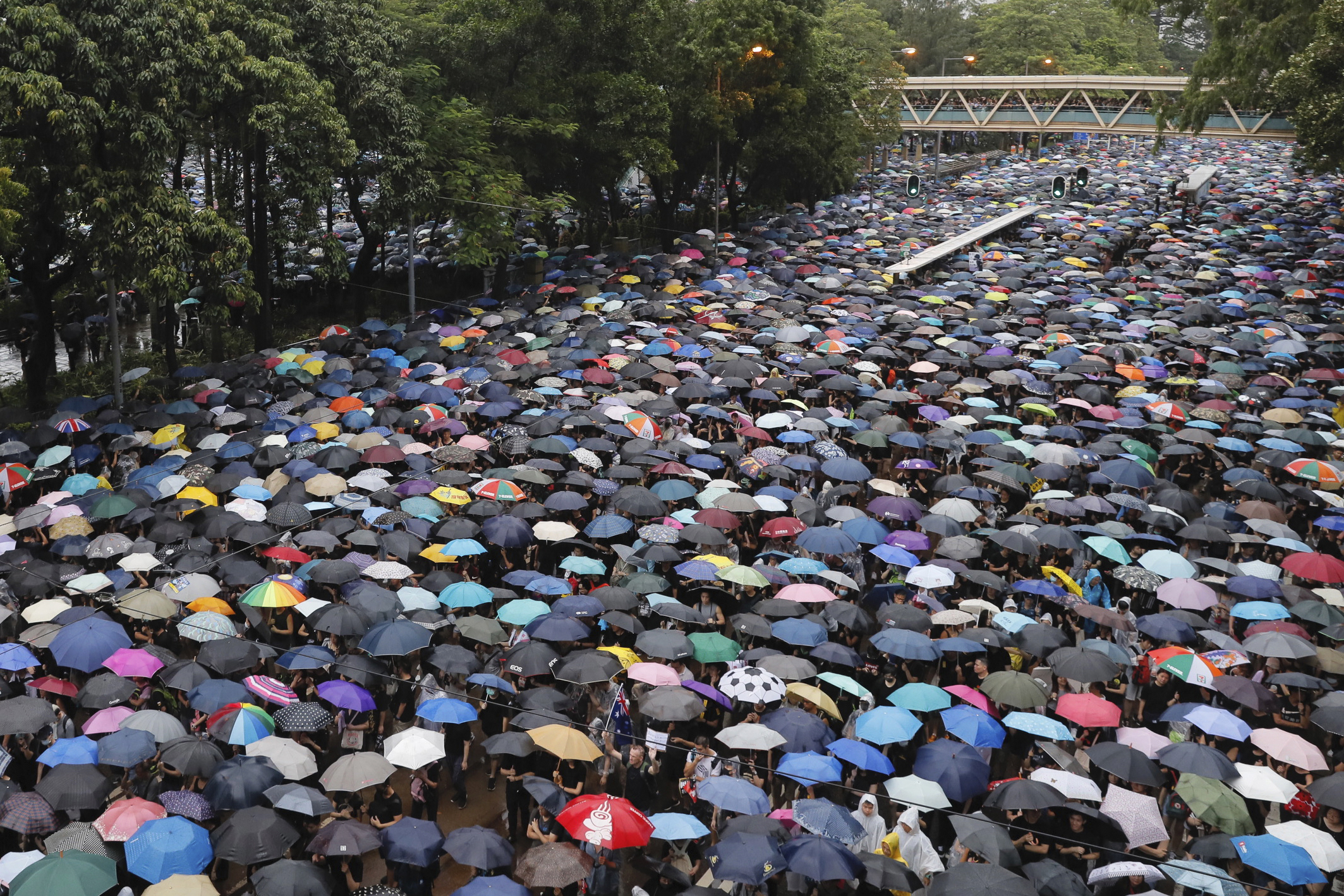 Twitter And Facebook Remove Chinese Accounts Related To The Hong Kong Protests