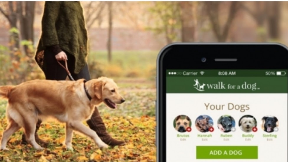 Here Are 5 Must Have Apps For Dog Owners