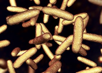 Sensors That Detects Potentially Harmful Substances