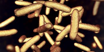 Sensors That Detects Potentially Harmful Substances