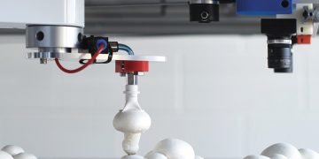 Researchers Develop Robot That Picks And Trims Mushrooms