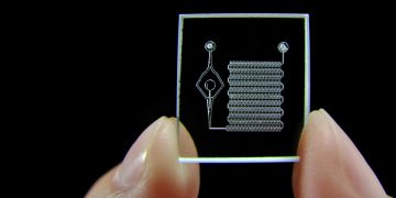 Researchers Curate New Chip That Can Mimic Organs, Helping With More Accurate Malaria Tests
