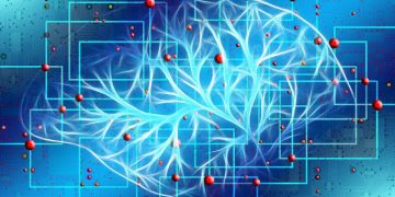 Researchers Discover Brain Mapping Method That Illuminates Targets For Treating Parkinson’s Disease And Depression