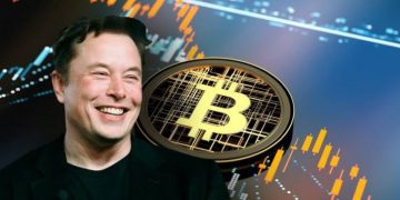 Elon Musk Had This To Say At His Bitcoin Meet-up With Jack Dorsey Yesterday