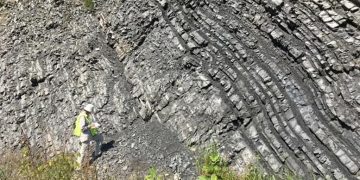 The Devonian Land Plants Arrival And How It Shaped The Earth’s Climate Control System