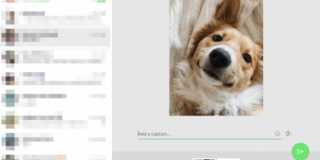 WhatsApp Is Add New Image Editing Suite For Web Clients.