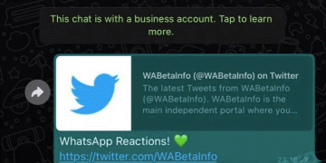 WhatsApp Is Planning To Roll Out These New Features, Take A Look