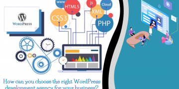 How Can You Choose The Right WordPress Development Agency For Your Business?
