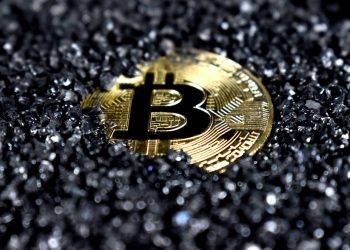 Tips For Maximizing Investment In Your Crypto