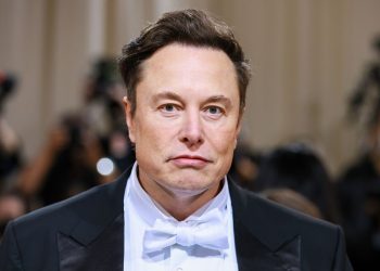Elon Musk Has Put The Twitter Deal On Hold Over “Fake Accounts”