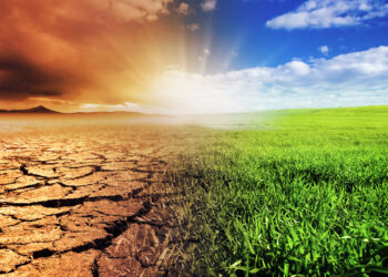 By 2050, 30 Percent Of Nigeria’s GDP Will Go To Climate Change Costs – World Bank