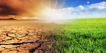 By 2050, 30 Percent Of Nigeria’s GDP Will Go To Climate Change Costs – World Bank