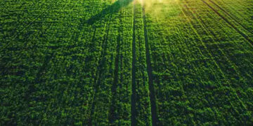 Africa’s Agritech Sector Funding Raises $1.1 Billion, A Ten-Fold Increase In Five Years