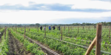 FarmWorks Is Keen On Empowering Its Start-up Commitment With $4 Million Equity Capital