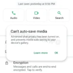 WhatsApp Tests Privacy Feature on Android to Restrict Sharing WA_NEW_ADVANCED_CHAT_PRIVACY_FEATURE_MEDIA_AUTO_SAVING_CHAT_INFO_SCREEN_ANDROID
