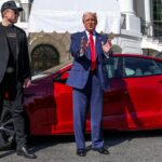 Tesla Sales Plunge as Musk Plans to Step Down DOGE Role e9fa6d40-1fcf-11f0-9dd2-2d8d7e0accb1