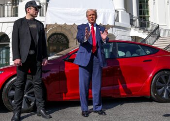 Tesla Sales Plunge as Musk Plans to Step Down DOGE Role