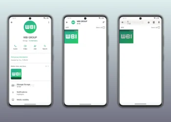 WhatsApp Tests Storage Controls for Individual Chats