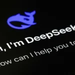 deepseek11