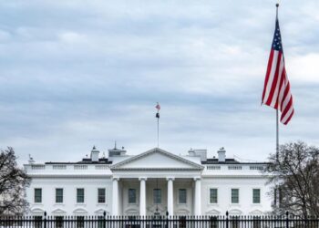 White House Weighs Tighter Oversight of New AI Models