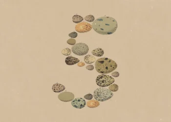 Claude Opus 5 Gives Anthropic A Cheaper Answer To The Fable 5 Problem