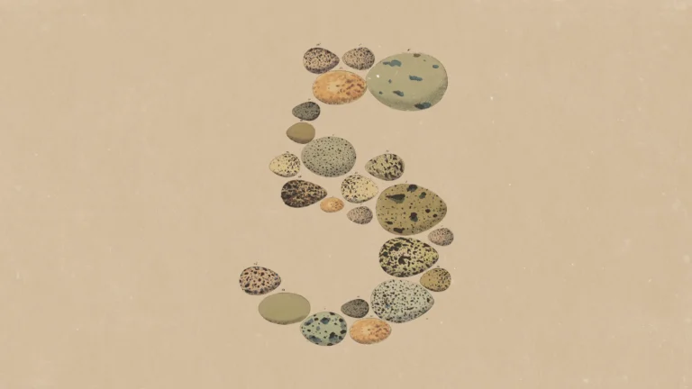 Claude Opus 5 Gives Anthropic A Cheaper Answer To The Fable 5 Problem