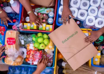GoLemon Stops Taking Orders As Lagos Grocery Delivery Startup Winds Down