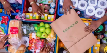 GoLemon Stops Taking Orders As Lagos Grocery Delivery Startup Winds Down