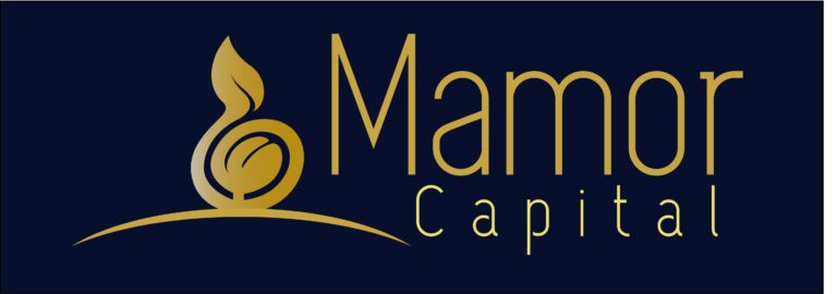 Mamor Capital Raises $18.8M For South African Startups