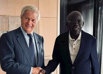 Bollore Plans Bigger Nigeria Fibre And Digital Investment